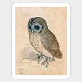 OWL Antique Animal Drawings Sticker